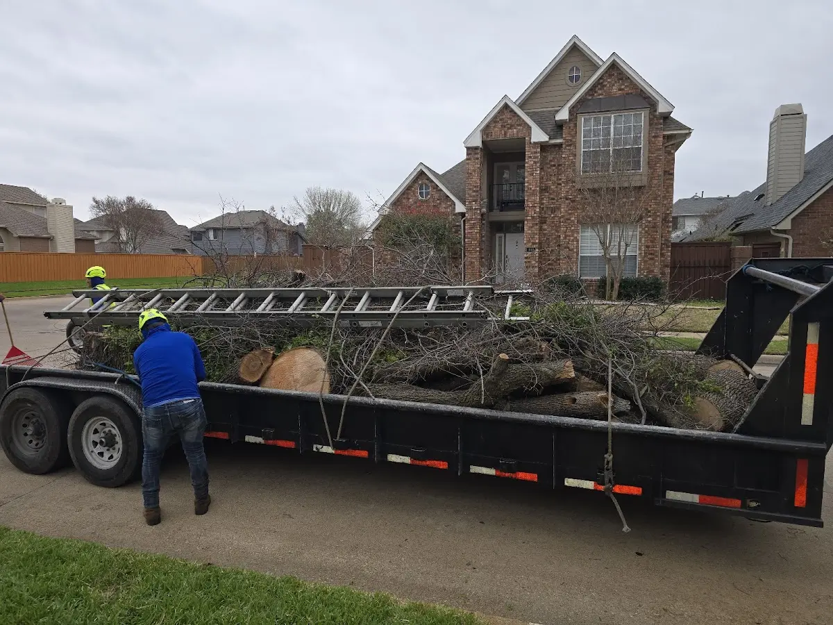 Expert Lot Clearing with proper safety equipment in Harmans